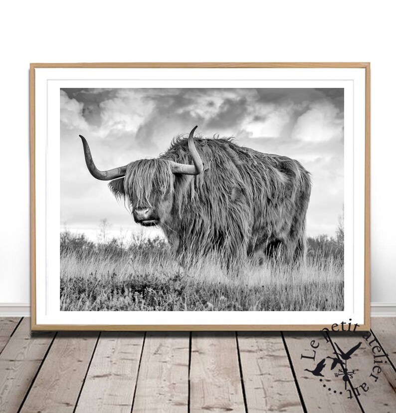 Highland Cow Print Digital Image 0