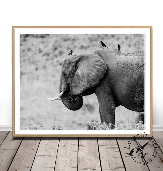African Baby Elephants Wildlife Large CANVAS Art Print Gift A0 A1 A2 A3 A4