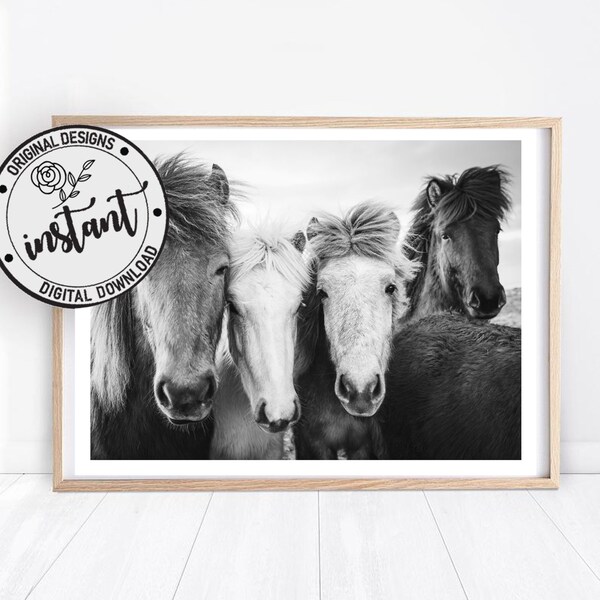 Horse Wall Decor Etsy