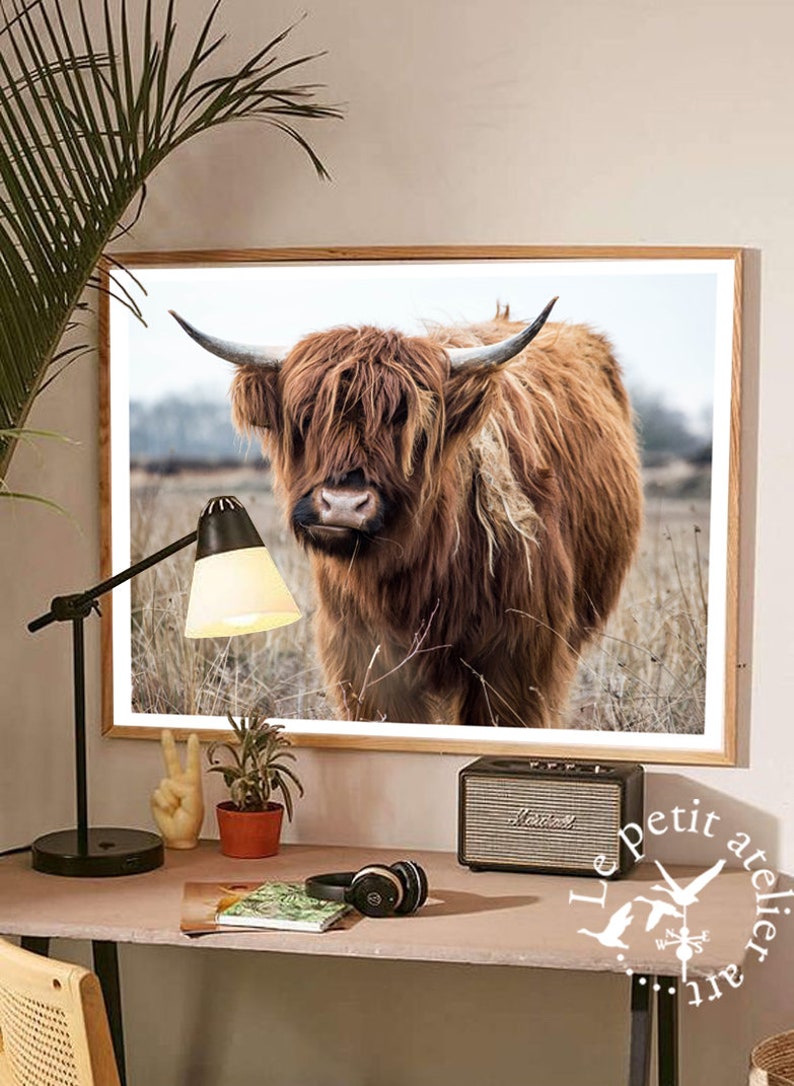 Highland Cow Print Farmhouse Decor Modern Print Shaggy Cow Etsy