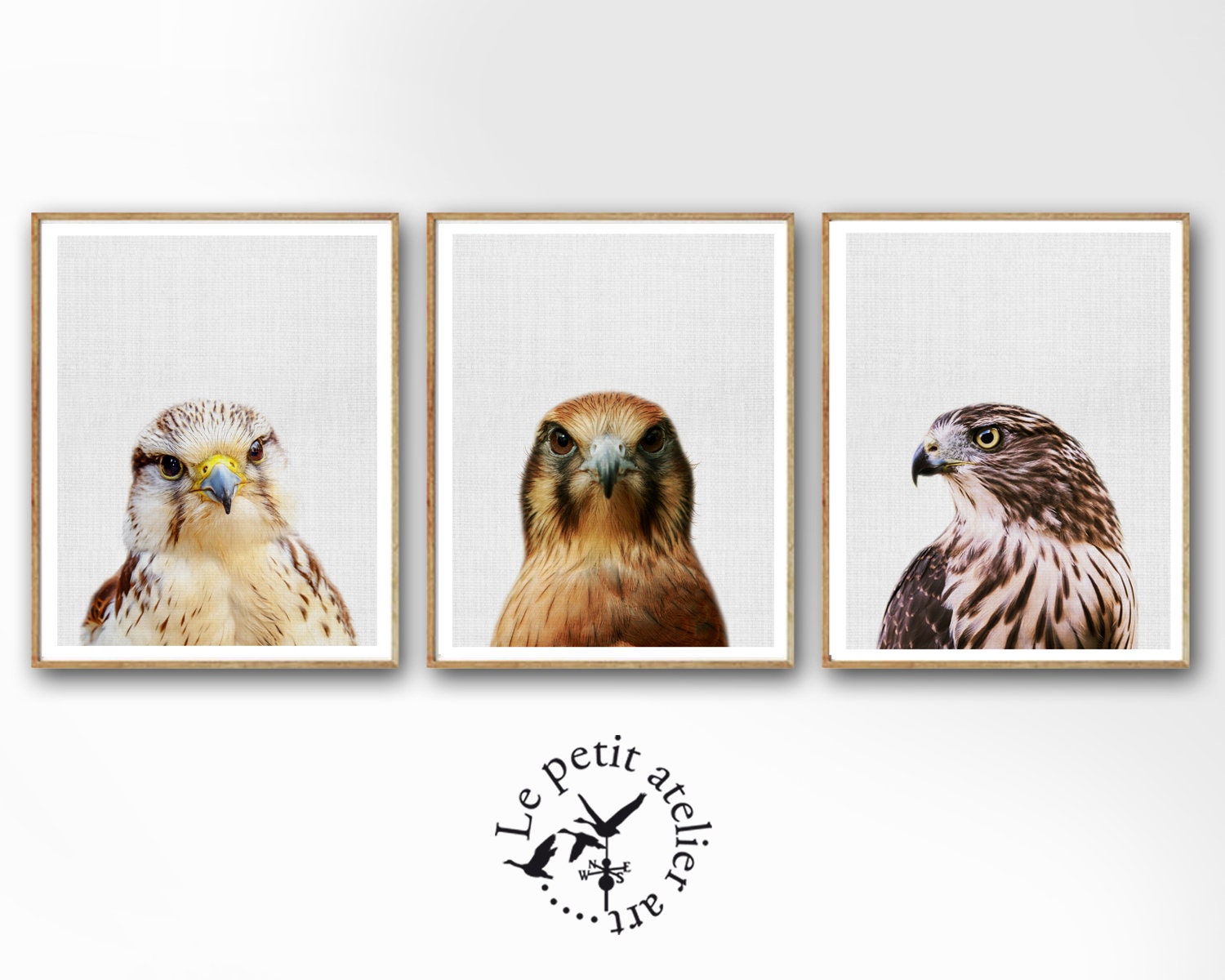 Eagle Print Modern Minimal Hawk Print Bird Prints Printable Art Instant Download Animal Wall Art Modern Bird Bird of Prey