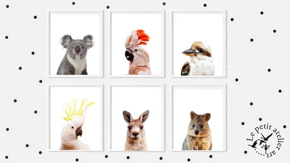 Australian Animals Print Nursery Decor Baby Animals Set 6 | Etsy
