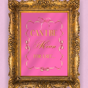 May include: A gold framed picture with a pink background and the text "Can I be mean for a sec..." in gold lettering. The text is surrounded by pink and white ribbons with bows.