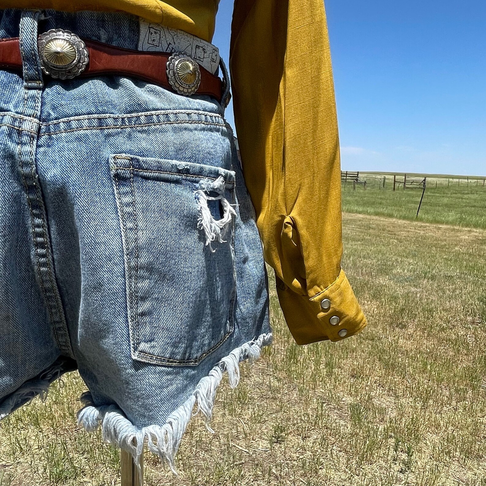 big e levis