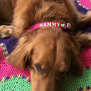 Dog Collar Personalized Custom Dog Collar with Name and Phone Number, Engraved Pet Collar, Engraved Pet Name Collar, Pet Gift