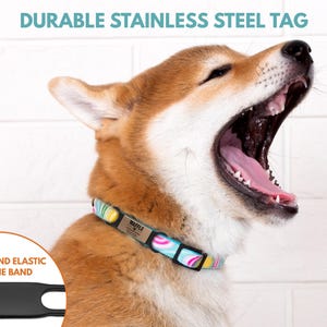 May include: A brown and white dog with its mouth open, wearing a colorful patterned dog collar with a silver tag that says "Waffle".