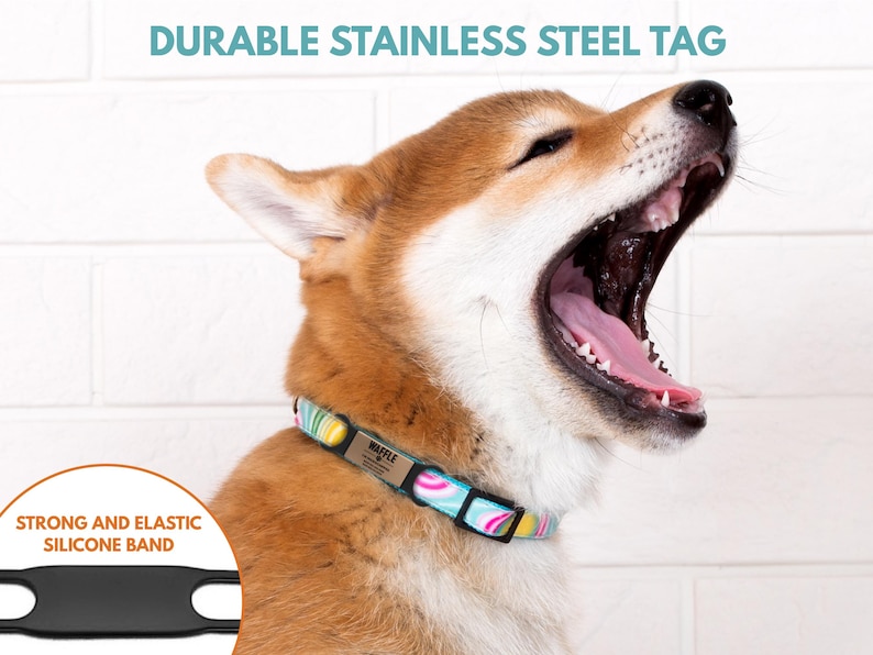 May include: A brown and white dog with its mouth open, wearing a colorful patterned dog collar with a silver tag that says "Waffle".