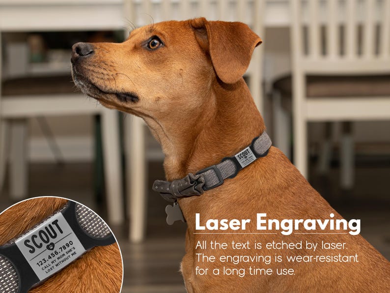 May include: A brown dog wearing a gray dog collar with a personalized engraved tag that reads "SCOUT 123.456.7890 CALL MY MOM SHE'S LOST WITHOUT ME". The text on the tag is laser engraved. The image includes the text "Laser Engraving All the text is etched by laser. The engraving is wear-resistant for a long time use."