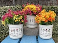 Grandma Gift, Personalized Gifts for Mom, Mom Birthday Gift, Personalized Flower Pot, Birth Flower Mom Gifts from Daughter, Grandmas Garden