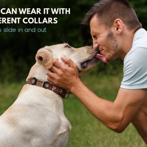 May include: A man is kissing a golden retriever on the head. The dog is wearing a brown leather collar with a metal buckle. The text "YOU CAN WEAR IT WITH DIFFERENT COLLARS" is displayed above the image. The text "Easy to slide in and out" is displayed below the image.