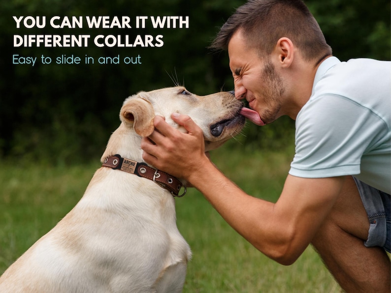 May include: A man is kissing a golden retriever on the head. The dog is wearing a brown leather collar with a metal buckle. The text "YOU CAN WEAR IT WITH DIFFERENT COLLARS" is displayed above the image. The text "Easy to slide in and out" is displayed below the image.