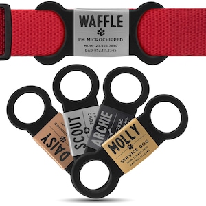 May include: Five black dog ID tags with silver and gold accents. The tags are personalized with the names Daisy, Scout, Archie, Molly, and Waffle. The tags include contact information for the dog's owner.