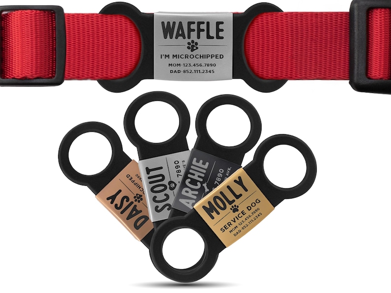 May include: Five black dog ID tags with silver and gold accents. The tags are personalized with the names Daisy, Scout, Archie, Molly, and Waffle. The tags include contact information for the dog's owner.