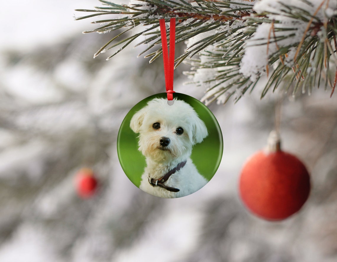 Custom Dog Photo Ornament Personalized Dog Christmas Ornament Etsy