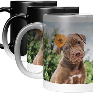 Puede incluir: Una taza de caf&eacute; de cer&aacute;mica blanca con un asa negra. La taza tiene un dise&ntilde;o que cambia de color que revela un cachorro marr&oacute;n con una flor amarilla en la cabeza cuando se vierte l&iacute;quido caliente en la taza.