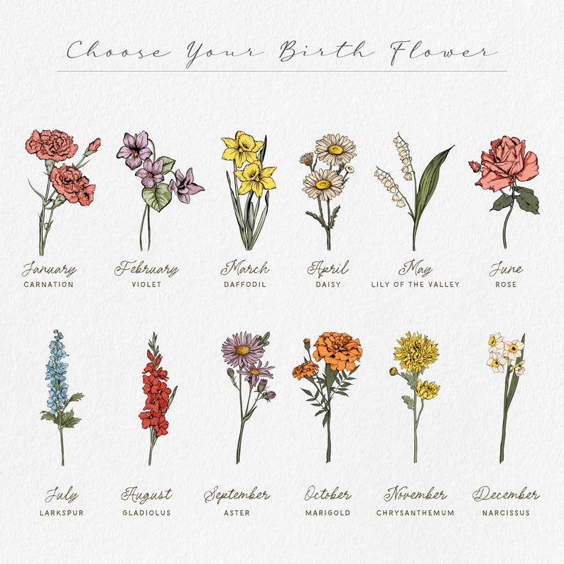 May include: An illustration of twelve birth flowers, each representing a month of the year. The flowers include carnation, violet, daffodil, daisy, lily of the valley, rose, larkspur, gladiolus, aster, marigold, chrysanthemum, and narcissus.