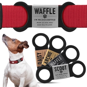 May include: A red dog collar with a silver tag that reads "WAFFLE I'M MICROCHIPPED MOM-123.456.7890 DAD-852.111.2345". The collar is shown next to a close-up of four different dog tags with black rings. The tags read "DAISY", "ARCHIE", "WAFFLE", and "SCOUT". The "SCOUT" tag has the phone number "123.456.7890" and the text "CALL MY MOM SHE'S LOST WITHOUT ME".