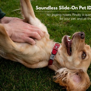 May include: A golden retriever dog lying on its back on green grass, being petted by a person. The dog is wearing a red collar with a silver slide-on pet ID tag that says "Sassy". The text "Soundless Slide-On Pet ID Tags" is above the dog. The text "No jingling noises. Finally a quiet option for your pet and all the family." is below the dog.