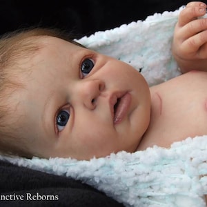 CUSTOM REBORN BABY ~ Noah Awake By Reva Schick