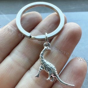 Dinosaurier Schlüsselanhänger, Dinosaurier Geschenke Schlüsselanhänger
