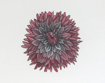 Chrysanthemum Painting