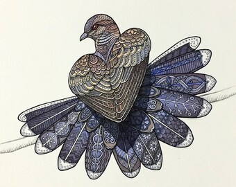 Turtle Dove Painting