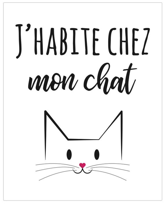 Affiche J Habite Chez Mon Chat Sur Carton Etsy Affiche J Habite Chez Mon Chat Sur Carton Etsy