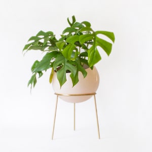 GLOBE Floor Planter with Brass Stand Nude Pink Big Size image 3