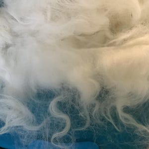 May include: Close-up of a pile of white, fluffy fiber. The fibers have a soft, wavy texture and appear to be loosely arranged. The lighting creates highlights and shadows, emphasizing the texture and volume of the material.
