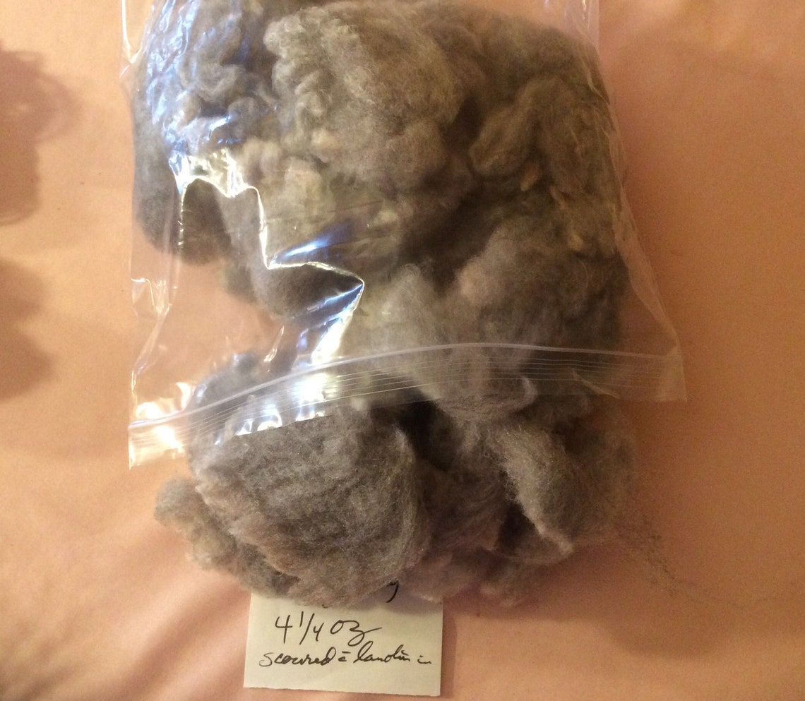 Washed scoured Wool 4oz of Clean Fleece. Ready for Your Next Step Etsy