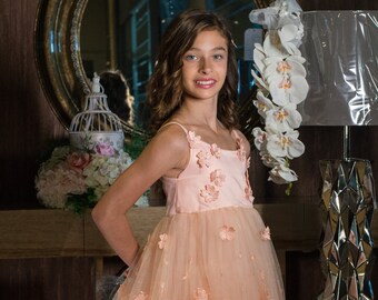 Blush Dress, Flower Dress, Peach Dress, Lace Dress, Birthday Dress, Wedding Flower Girl, Blush Flower Dress, Flower Girl Dress, Peach Flower