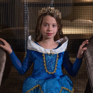 princess aurora blue dress