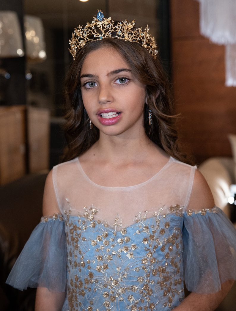 Blue & Gold Princess Dress Blue Princess Dress Gold Princess Etsy UK