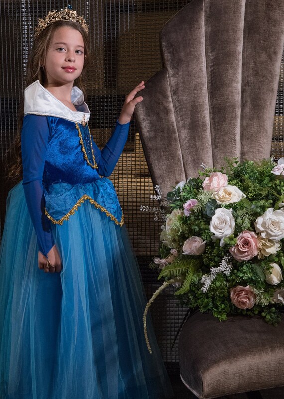 princess aurora blue dress