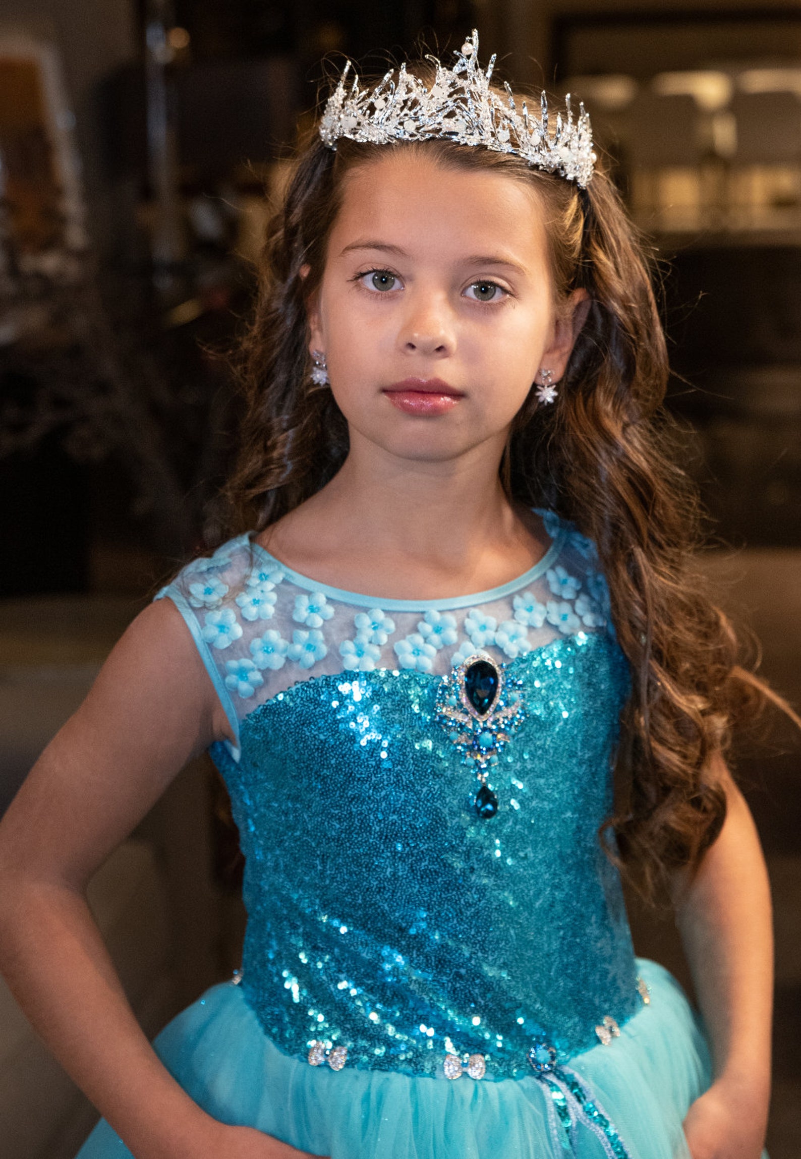 Elsa Dress Frozen Dress Frozen Sparkle Dress Princess Elsa Etsy