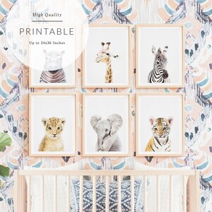 safari baby animal prints
