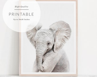 baby stuff with elephants