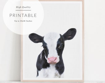 baby cow nursery decor