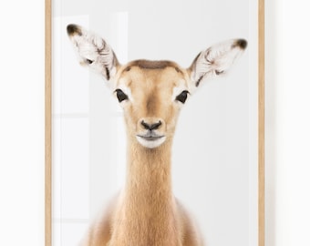 Safari Animal Printable - Baby Impala Wall Art - African Wildlife Themed Nursery