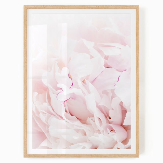 Flower Printable Art - Peony Print - Flower Wall Art - Peony Petals Print - Flower Photography - Peony Printable - Flower Print - Peony Art
