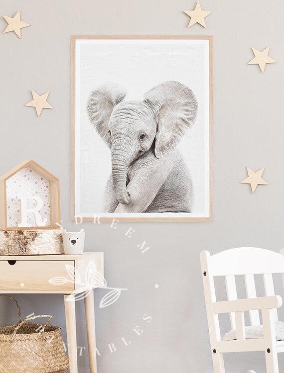 peek a boo elephant walgreens