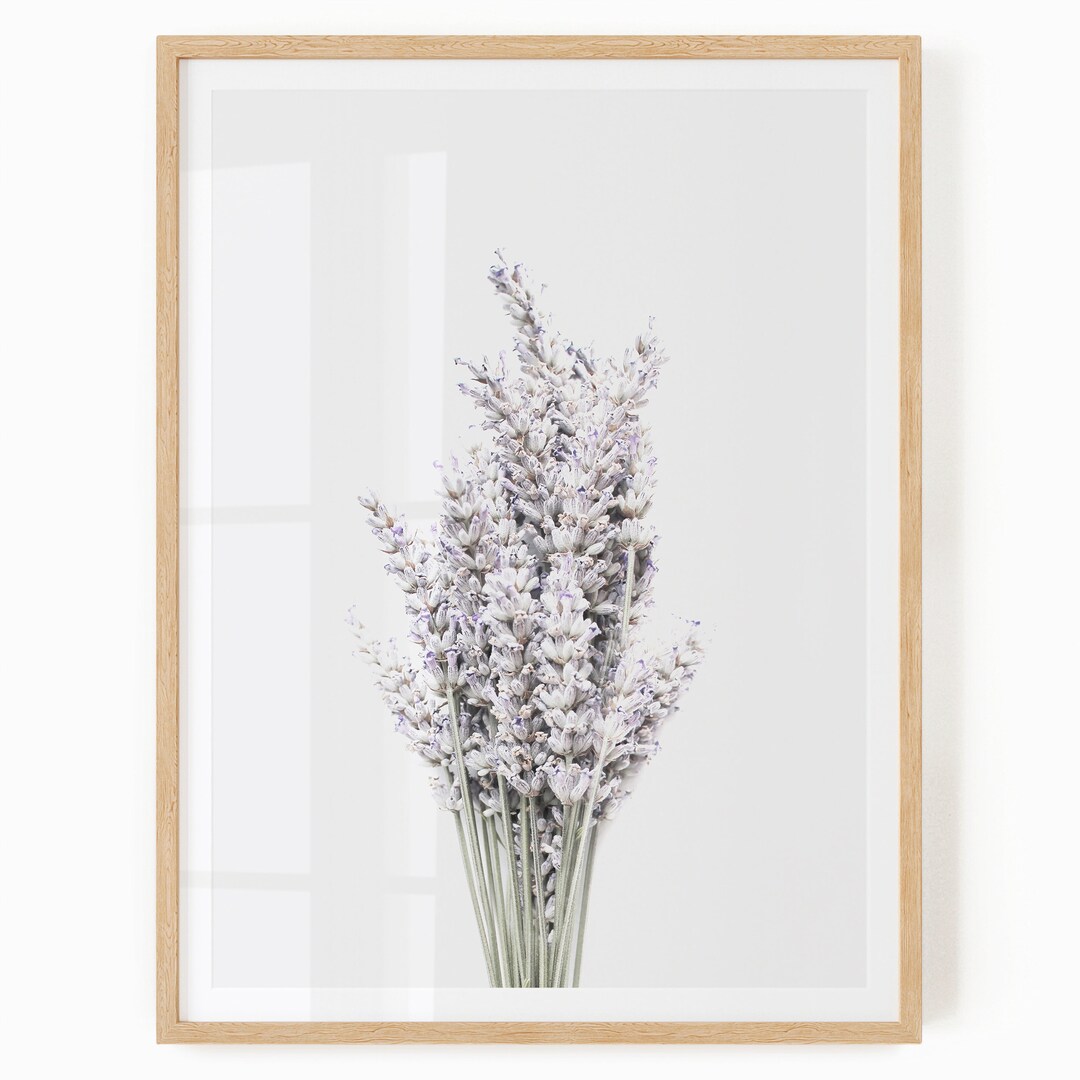 Lavender Flower Wall Art Lavender Herb Print Digital Download Farmhouse