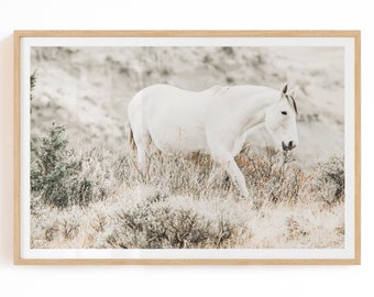 White Horse Print Digital Download - Boho Horse Printable Wall Art - Boho Wall Decor - Desert Horse Photography - Boho Nature Print