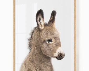 Baby Donkey Wall Art - Printable Animal Art for Baby and Kids - Neutral Nursery Digital Download - Baby Donkey Print