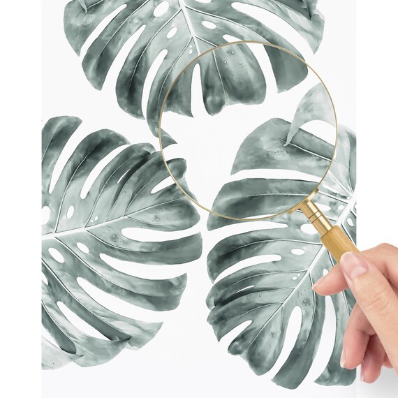 Monstera Druck Digitaler Download - Tropischer Blatt Druck - Monstera Blatt  Kunst - Tropische grne Wandkunst - Monstera druckbar - Grne Kunst - Etsy  Schweiz