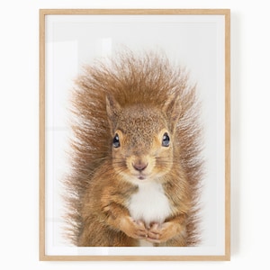 Squirrel Nursery Printable - Forest Critter Wall Art - Woodland Theme Decor - Baby Squirrel Wall Art