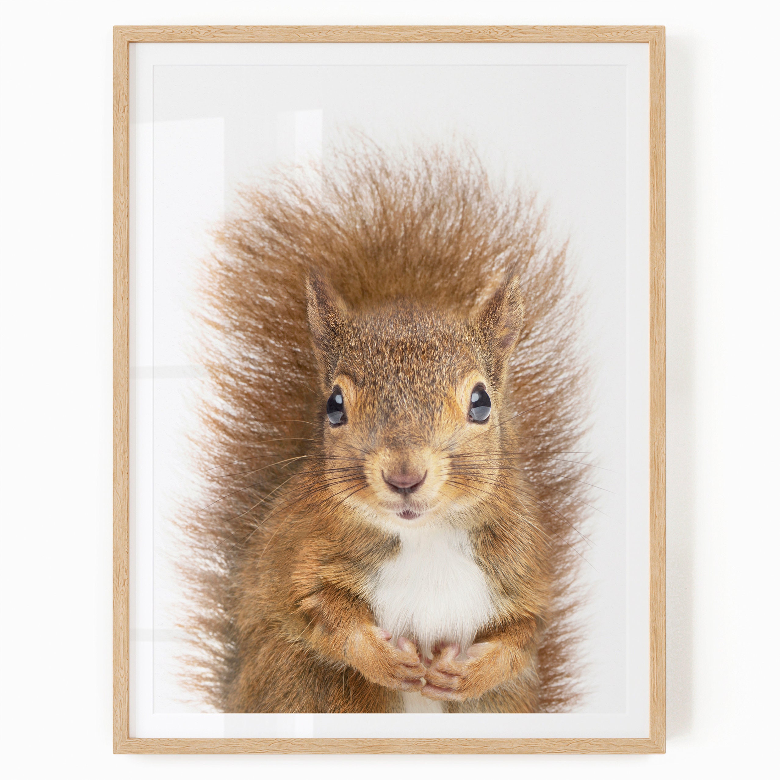 Squirrel Nursery Printable - Forest Critter Wall Art - Woodland Theme Decor - Baby Squirrel Wall Art