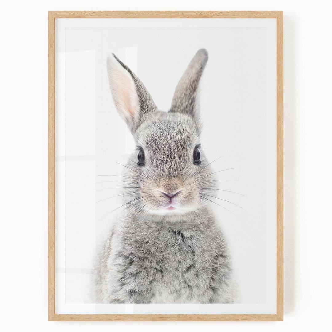 Bunny Wall Art for Nursery Printable Animal Art Woodland Nursery Decor