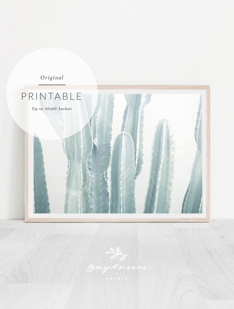 Horizontal Cactus Print Large Horizontal Wall Art for Etsy Canada