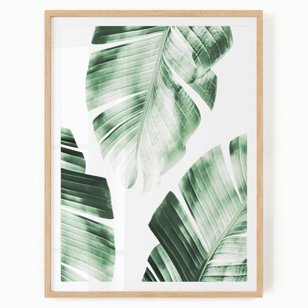 Banana Leaf Print - Digital Download - Tropical Wall Art - Banana Leaves Print - Tropical Printable - Banana Leaf Printable - Tropical Print